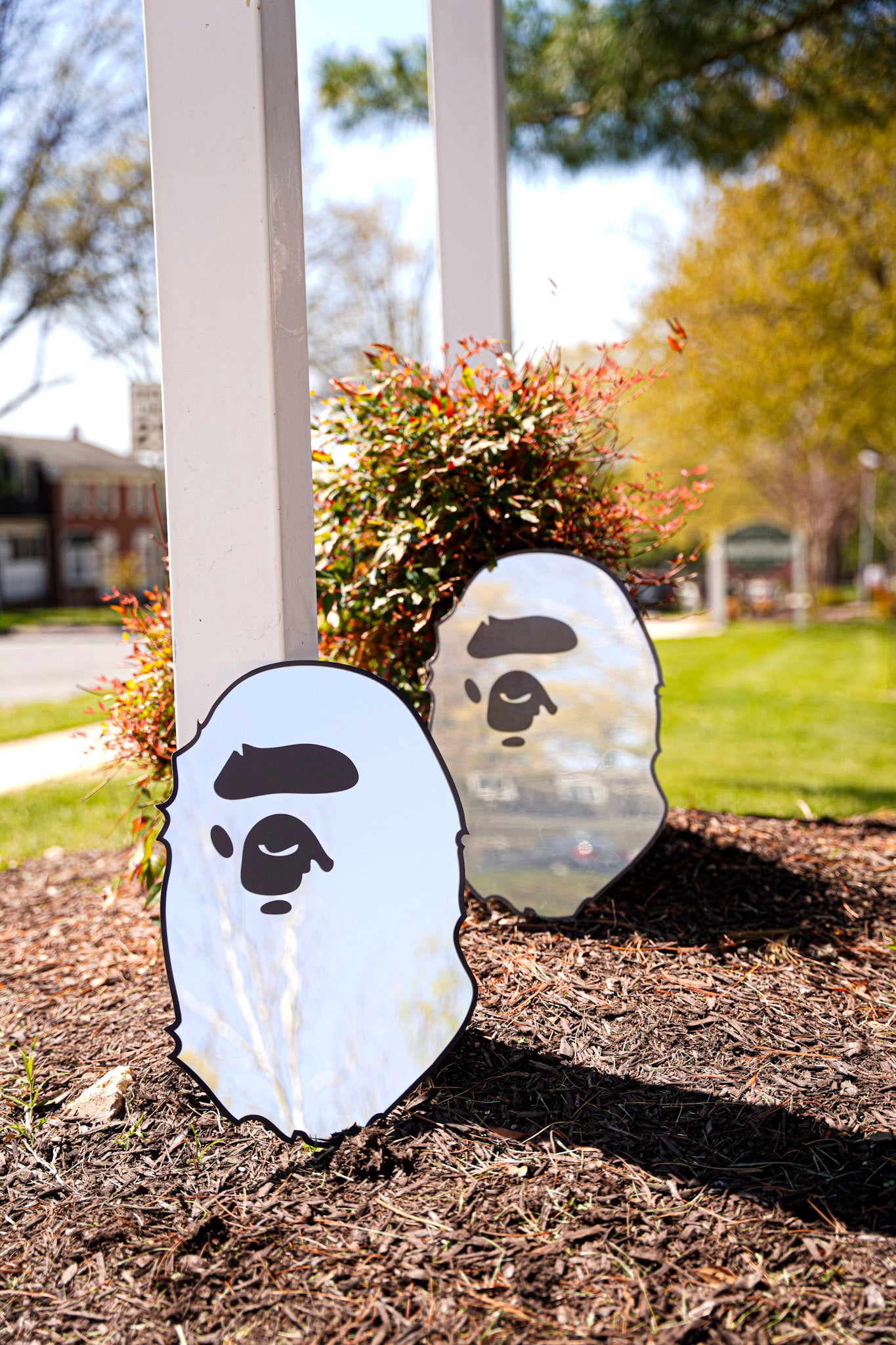 BAPE MIRROR